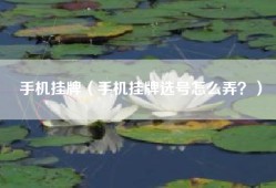 手机挂牌（手机挂牌选号怎么弄？）