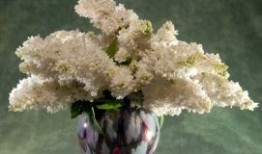 博时女性消费主题混合C连续7个交易日下跌，区间累计跌幅4.05%