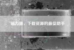 磁力猫，下载资源的最佳助手