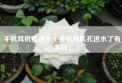 手机耳机孔进水（手机耳机孔进水了有事吗）