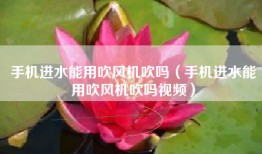手机进水能用吹风机吹吗（手机进水能用吹风机吹吗视频）
