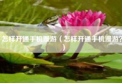 怎样开通手机漫游（怎样开通手机漫游？）