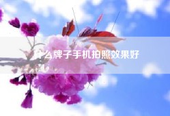 什么牌子手机拍照效果好