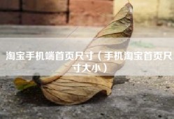淘宝手机端首页尺寸（手机淘宝首页尺寸大小）