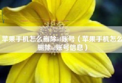 苹果手机怎么删除id账号（苹果手机怎么删除id账号信息）
