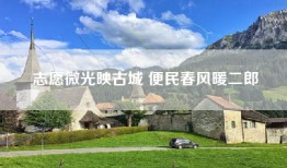 志愿微光映古城 便民春风暖二郎