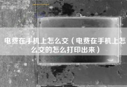 电费在手机上怎么交（电费在手机上怎么交的怎么打印出来）