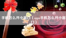手机怎么开小窗口（oppo手机怎么开小窗口）