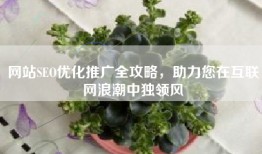 网站SEO优化推广全攻略，助力您在互联网浪潮中独领风