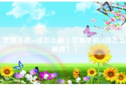 苹果手机id锁怎么解（苹果手机id锁怎么解除？）