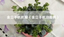 金立手机机模（金立手机功能机）