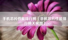 手机芯片性能排行榜（手机芯片性能排行榜天梯图）