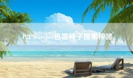 P2PSearcher迅雷种子搜索神器