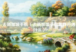 去新加坡手机（去新加坡手机需要开通什么）