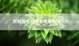 如何做不同搜索引擎的排名？
