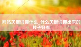 网站关键词搜什么_什么关键词搜出来的片子好看