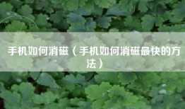 手机如何消磁（手机如何消磁最快的方法）