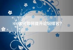 SEO优化如何提升论坛排名？