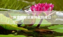 保定数据资源仲裁院成立
