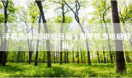 手机能用u做电脑音箱（用手机当电脑音箱）