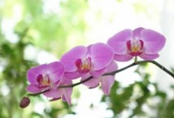 儿童化妆品新规有新眉目！《儿童化妆品监督管理规定》意见稿公开