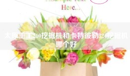 太原重工260挖掘机和卡特彼勒324挖掘机哪个好