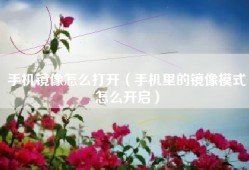 手机镜像怎么打开（手机里的镜像模式怎么开启）