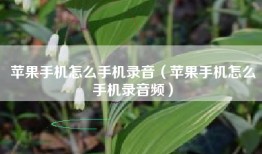 苹果手机怎么手机录音（苹果手机怎么手机录音频）