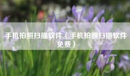 手机拍照扫描软件（手机拍照扫描软件免费）