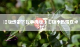 旧版迅雷下载手机版（旧版本迅雷安卓下载）