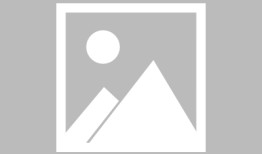 单日客流10万+！上海顾村公园迎赏樱热潮