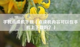 手机点读机下载（点读机内容可以在手机上下载吗？）