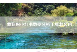 薯狗狗小红书数据分析工具怎么用