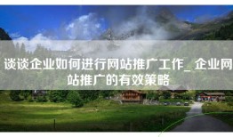 谈谈企业如何进行网站推广工作_ 企业网站推广的有效策略