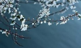 全国面部做塑美极医院在榜清单综合实力前二十位笔者亲测