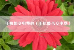 手机能交电费吗（手机能否交电费）