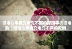 锂电池手机充电充不满的原因手机锂电池「锂电池手机充电充不满的原因」