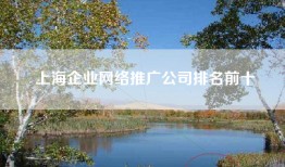 上海企业网络推广公司排名前十