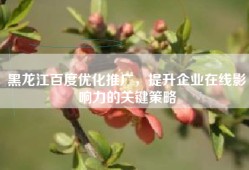 黑龙江百度优化推广，提升企业在线影响力的关键策略