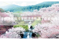 手机洗衣机（手机洗衣机洗了还能用吗）