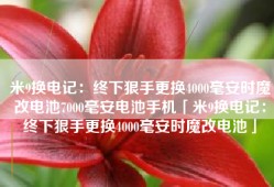 米9换电记：终下狠手更换4000毫安时魔改电池7000毫安电池手机「米9换电记：终下狠手更换4000毫安时魔改电池」