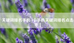 关键词排名手机 s【手机关键词排名点击率】