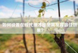 如何设置在线代理才能使其发挥最佳效果？