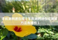 手机测网速在线（手机测网速在线测试方法有哪些）