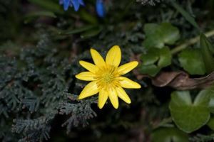 农历9月22日揭秘，传统节日与民俗一览