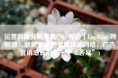 运营数据分析零售(36kr专访｜LiveRamp刘欣健：数据驱动的零售媒体网络，广告营销增长的下一个“答案”)