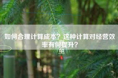 如何合理计算成本？这种计算对经营效率有何提升？