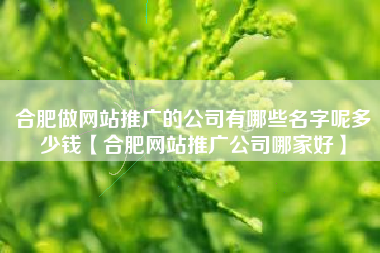 合肥做网站推广的公司有哪些名字呢多少钱【合肥网站推广公司哪家好】