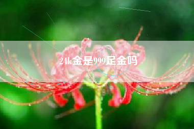 24k金是999足金吗