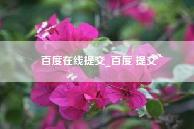 百度在线提交_百度 提交
